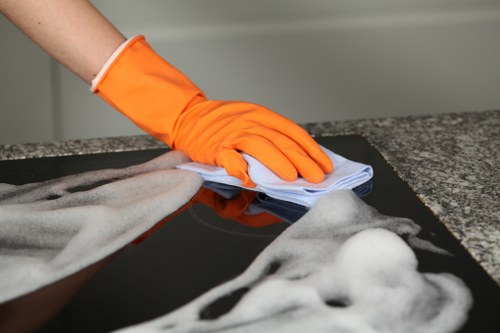 Carpet cleaning complaint review with service notes