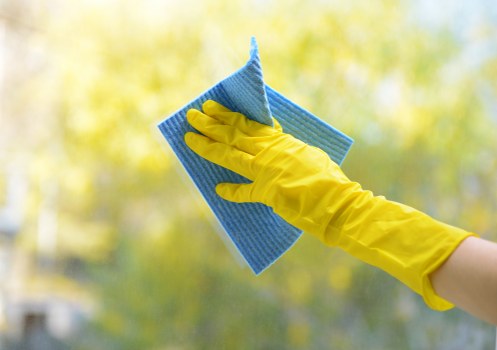 Professional pet stain odour removal in a Bermondsey living room