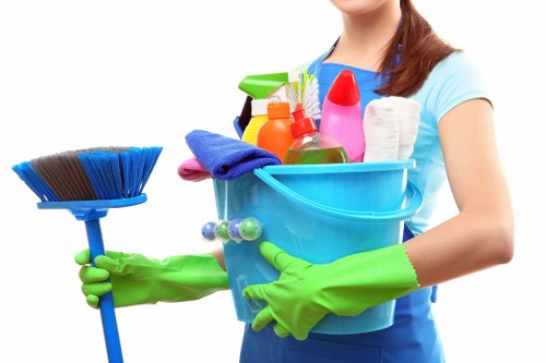 Professional Bermondsey carpet cleaners restoring a residential carpet