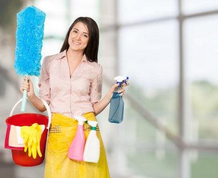 Deep cleaning equipment used for pet stain odour removal