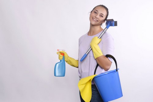 Deep cleaning process for a fabric sofa