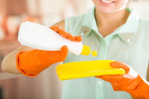 Carpet cleaning team using eco-friendly waste sorting in Bermondsey