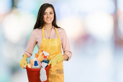 Professional upholstery cleaning for a sofa in Bermondsey
