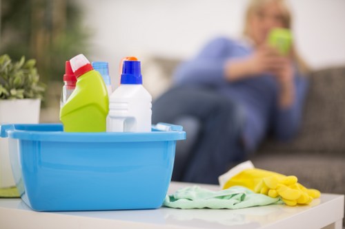 Secure payment page for Bermondsey Carpet Cleaners