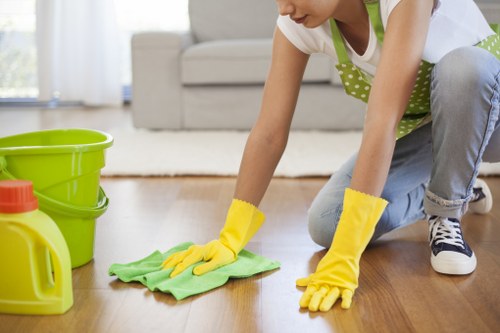 Bermondsey carpet cleaner using specialist equipment for a thorough clean